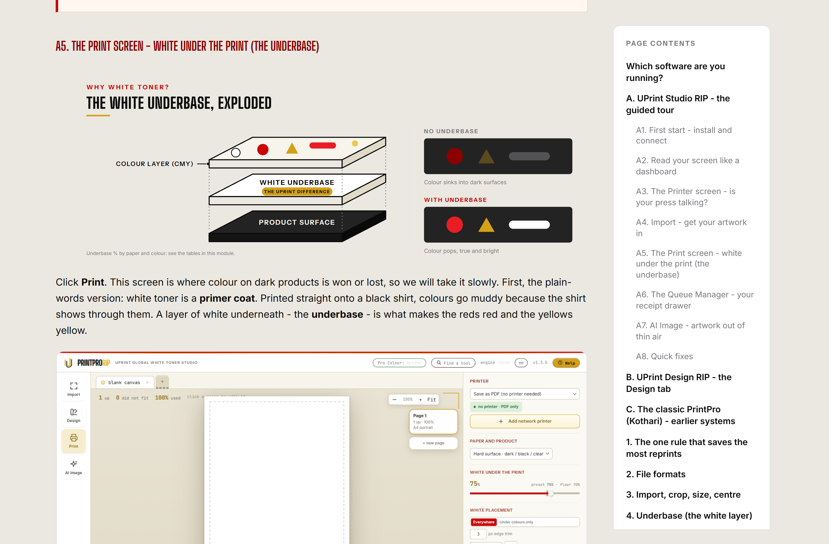 A real screenshot of the RIP software, inside the lesson
